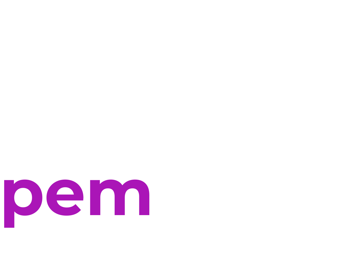 Piano Finanziario PEM